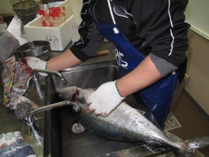 403220_130852703704332_100003388087056_125389_1753436981_n